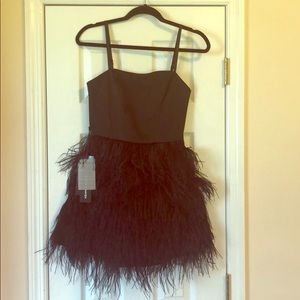 Bebe feather embellished fit and flare dress